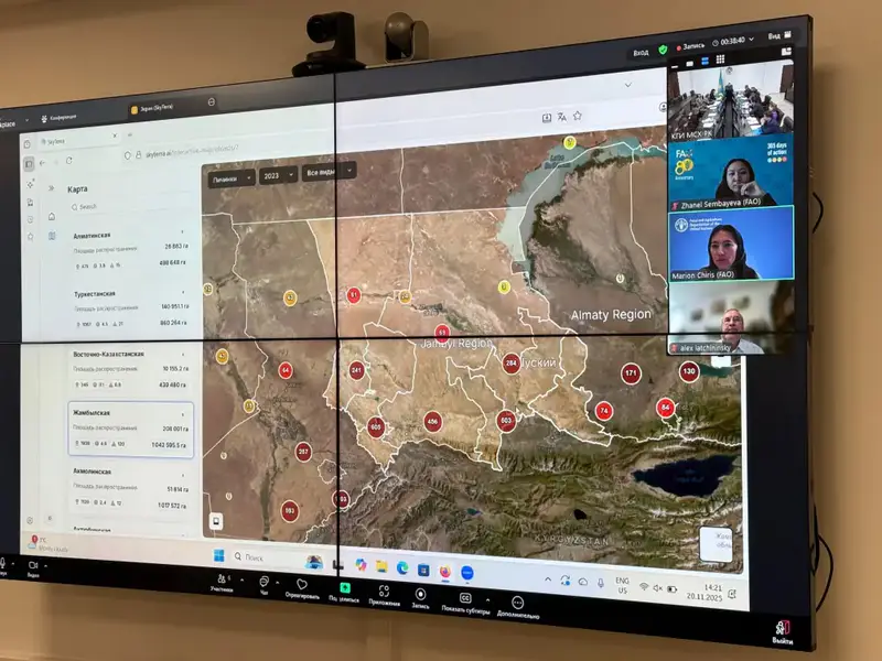 Внедрение ИИ и спутниковых технологий в мониторинг саранчевых вредителей: новые горизонты для сельского хозяйства Казахстана {city2}