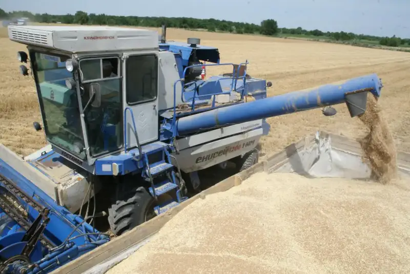 Рост валовой продукции сельского хозяйства Казахстана на 5,4% за десять месяцев 2025 года {city2}