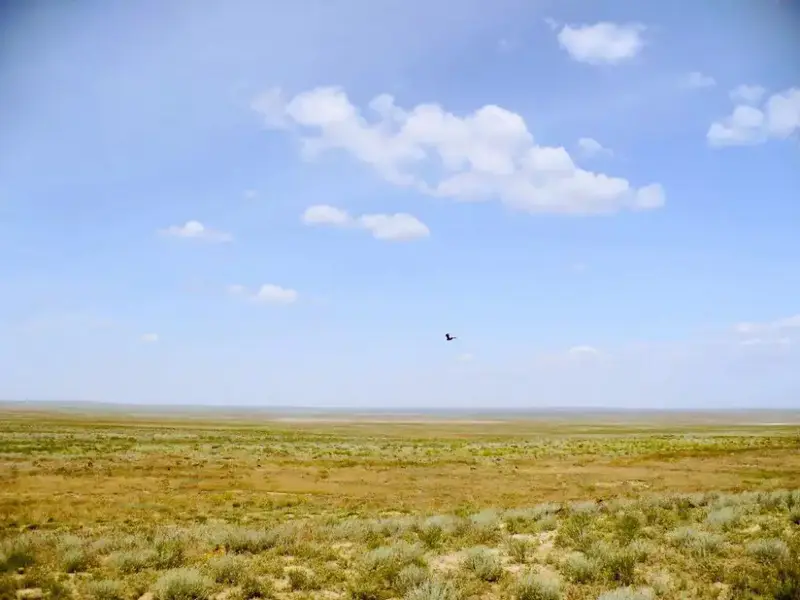 Возвращение неиспользуемых сельскохозяйственных земель в Абайской области {city2}