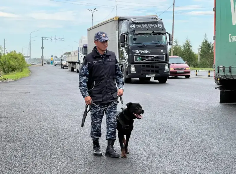 Служебная собака раскрывает преступление: гашиш найден в автомобиле в Астане {city2}