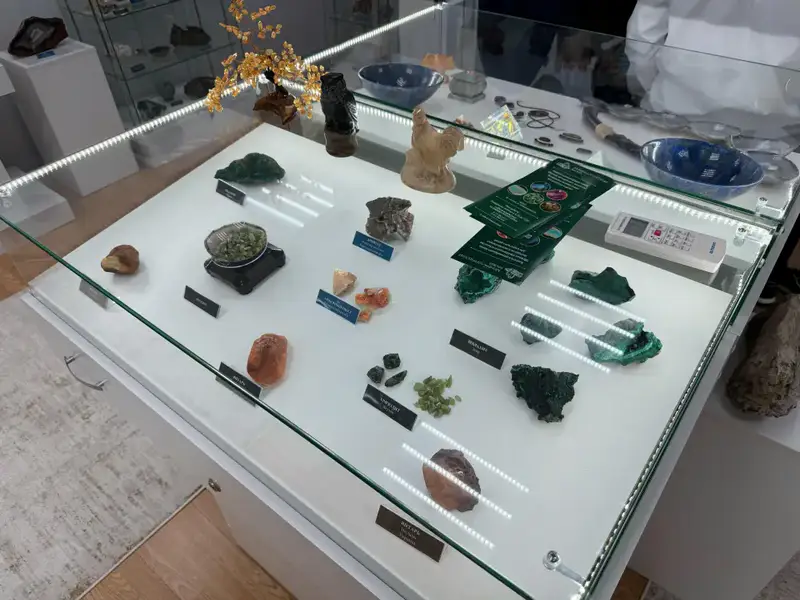 Столичные школьники открыли для себя мир минералов и ценности государственной службы (10)