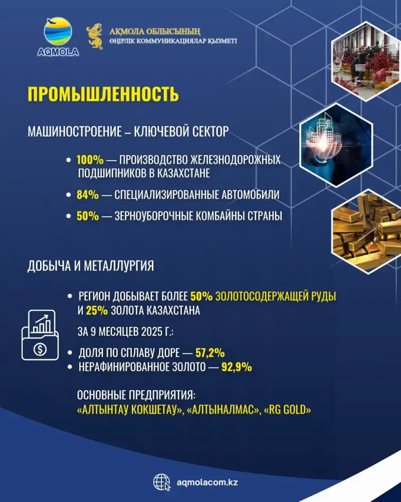 Зерновой урожай Акмолинской области: золотые поля и новые горизонты экспорта {city2}