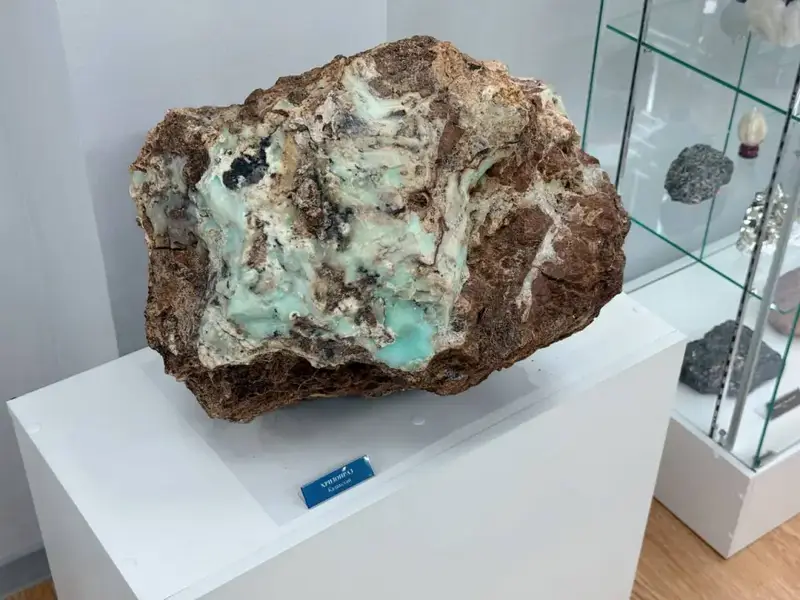 Столичные школьники открыли для себя мир минералов и ценности государственной службы (2)