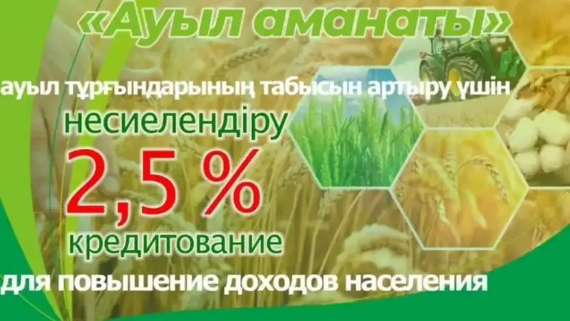 Запущена платформа для онлайн-заявок на льготные кредиты под 2,5% {city2}