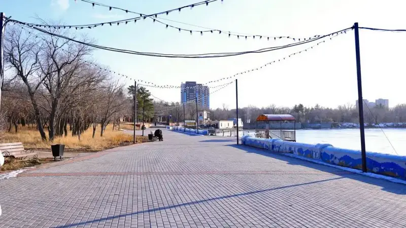 В Центральном парке Караганды посчитали деревья (2)