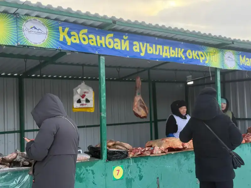 Домашние продукты, народная атмосфера и поддержка местных производителей: в Усть-Каменогорске проходит ярмарка «Туған жер – алтын бесігім» (7)