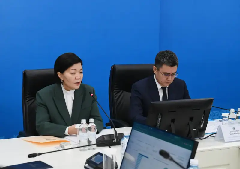 Жакупова обсудила социальные инициативы в Алматинской области {city2}