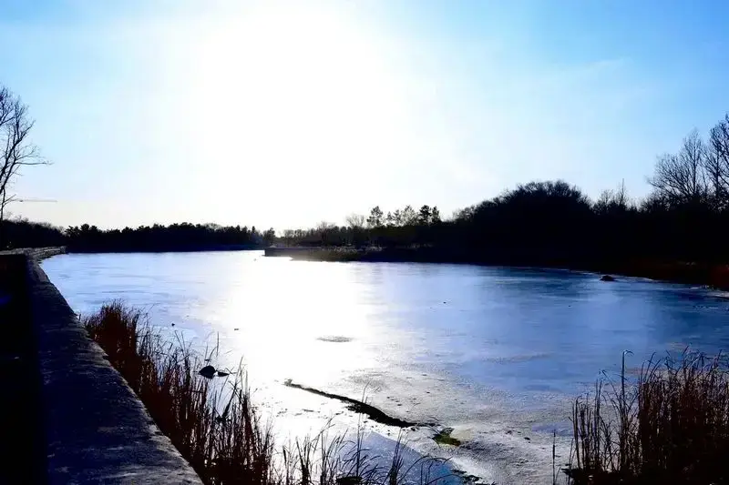 В Центральном парке Караганды посчитали деревья (5)