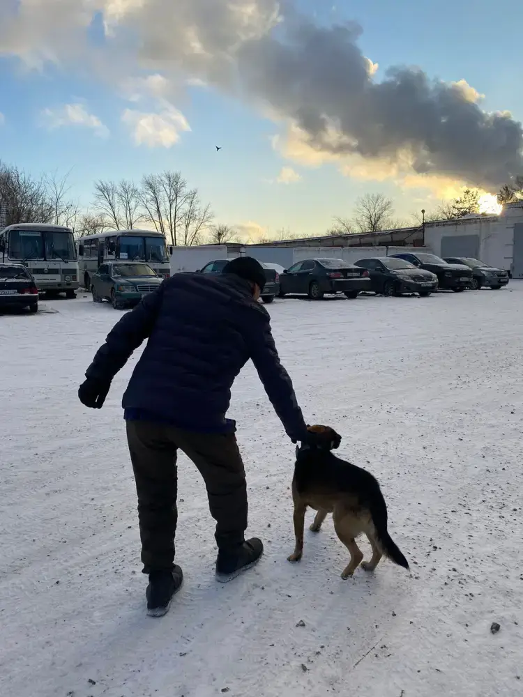 Верность Тайсона: трогательная встреча в Павлодаре {city2}