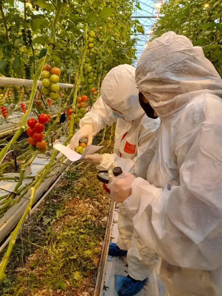 Введение платной фитосанитарной экспертизы: шаг к улучшению качества и прозрачности в аграрной сфере Казахстана {city2}