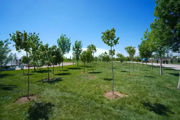 ТУРКЕСТАН: ЭКОЛОГИЧЕСКАЯ АКЦИЯ СБЛИЖАЕТ ОБЩЕСТВО И СПОСОБСТВУЕТ УЛУЧШЕНИЮ САНИТАРНОГО СИТУАЦИИ {city2}