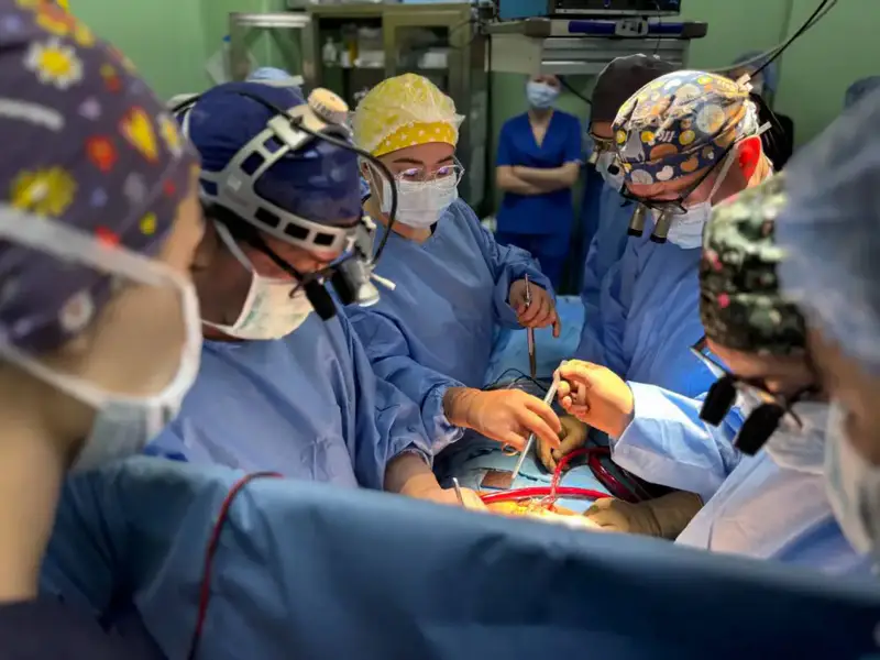 Трансплантация сердца в Алматы: новый этап в кардиохирургии и надежда для пациентов с сердечной недостаточностью {city2}