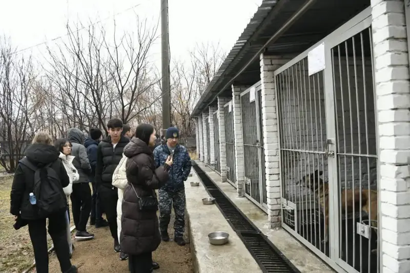 «Esirtkisiz Elorda»: в Астане студентов обучили тонкостям кинологической службы (3)