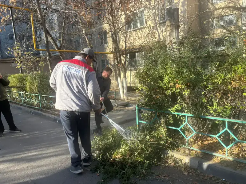 «ТАЗА ҚАЗАҚСТАН»: ЖИТЕЛИ ШЫМКЕНТА ВНОСЯТ ВКЛАД В УЛУЧШЕНИЕ ЭКОЛОГИЧЕСКОГО ОБЛИКА ГОРОДА (2)
