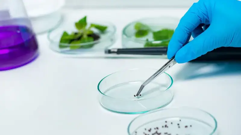 Новый порядок фитосанитарного контроля в Казахстане {city2}