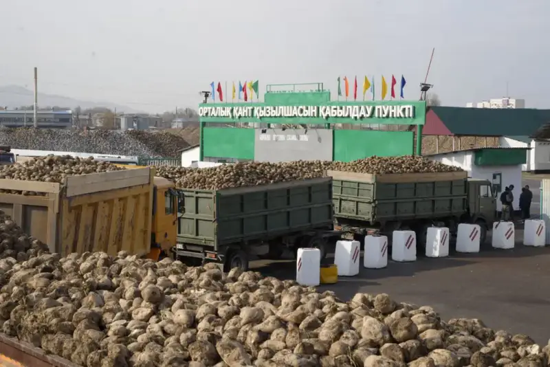 C начала года в Коксуском районе произведено сельхозпродукции на 30,5 млрд. тенге (5)