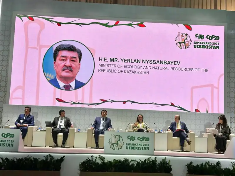 Самарканд: где дикая природа встречает инновации {city2}