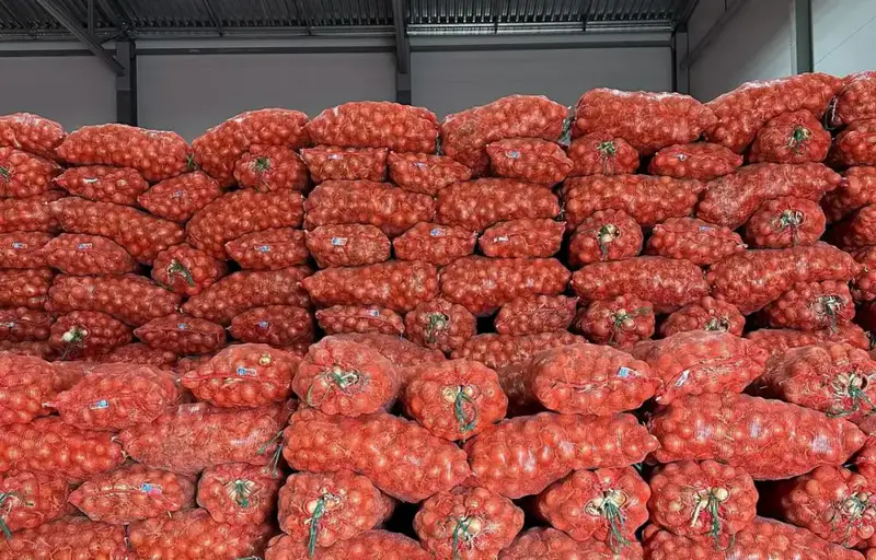 Актюбинская область укрепляет продовольственный щит: 4,5 миллиарда тенге на стабильность {city2}