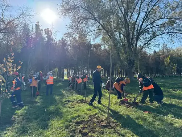 Сайрамский район: 100 новых деревьев высажено {city2}