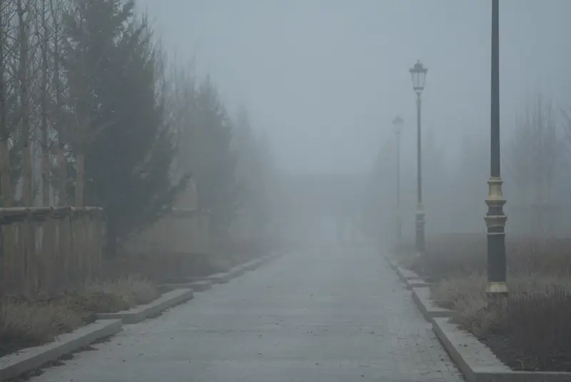 туман