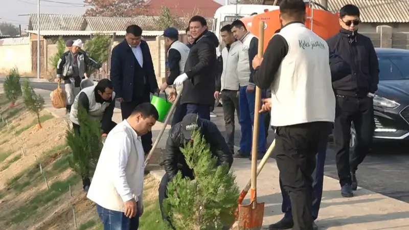 В КЕЛЕСЕ ПРОШЛА ОСЕННЯЯ АКЦИЯ ПО ПОСАДКЕ ДЕРЕВЬЕВ "ПОСАДИ БЕСПЛАТНЫЙ САЖЕНЕЦ" (2)