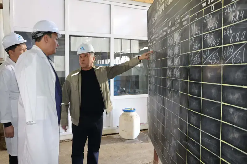 Ербол Карашукеев ознакомился с развитием свекольной отрасли в Меркенском районе (8)