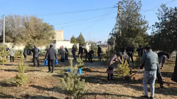 В Арысе прошла акция по посадке 3 700 деревьев, символизирующая единство и заботу о природе {city2}