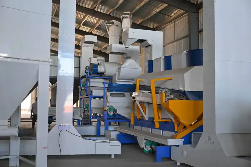 Запуск завода по производству комбикормов в Абай: новые возможности для аграрного сектора региона {city2}