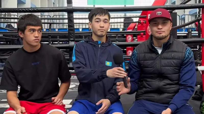 Боксеры трех стран: язык как ринг для шуток {city2}