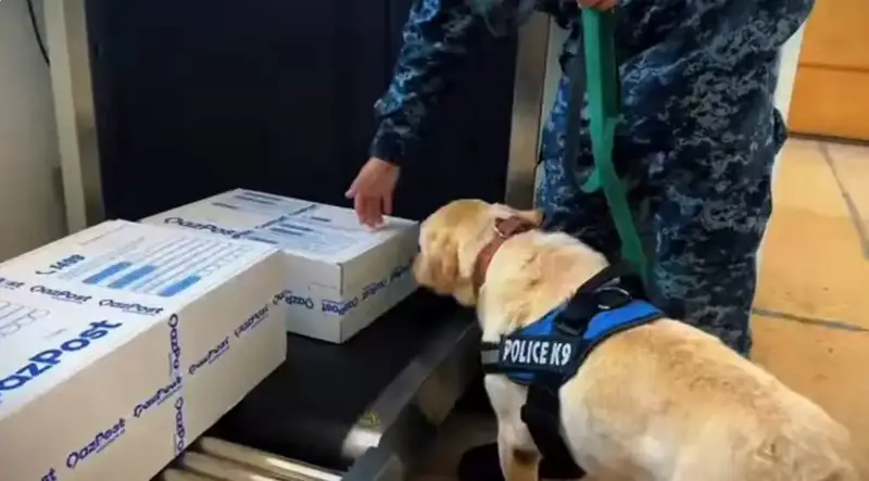 Наркотическая буря: 238 правонарушений за 10 месяцев в ЗКО {city2}