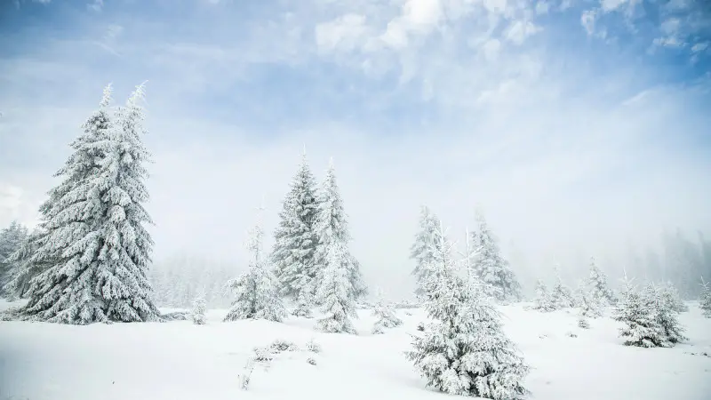 Циклон атакует Казахстан: синоптики предсказывают снег и резкое похолодание на 8-10 ноября {city2}