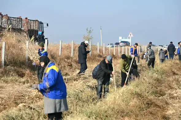 Субботник в Жетысай озеленение 7000 саженцев вывоз мусора 700 тонн {city2}