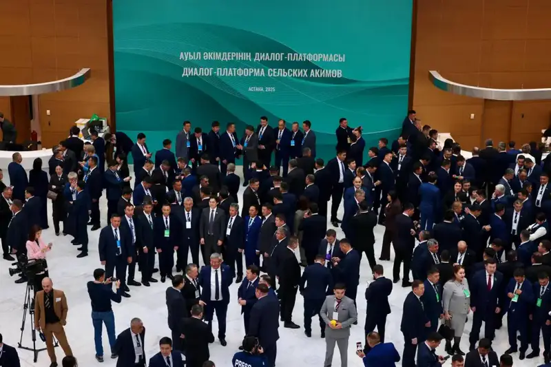Сельские акимы СКО обсудили развитие сел с Президентом (3)