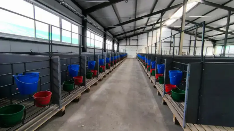 В Костанайской области открыта новая молочно-товарная ферма на 1200 голов скота {city2}