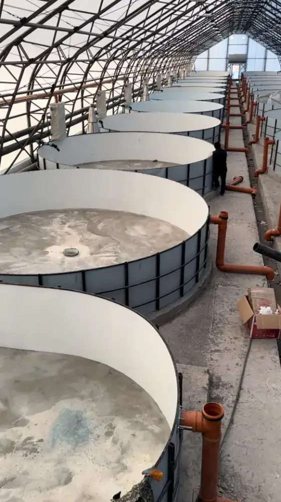 Рыбоводческий комплекс в Восточно-Казахстанской области стоимостью 348 млн тенге {city2}