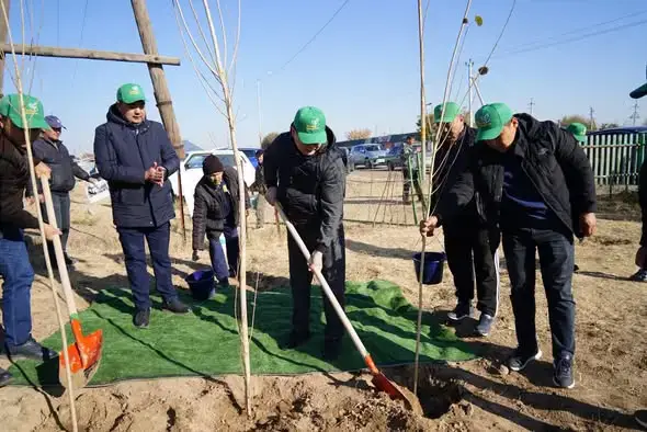ТУРКЕСТАН: 5000 ДЕРЕВЬЕВ ПОСАЖЕНО В КАЗЫГУРТСКОМ РАЙОНЕ В РАМКАХ ЭКОЛОГИЧЕСКОЙ ПРОГРАММЫ «ТАЗА ҚАЗАҚСТАН» {city2}
