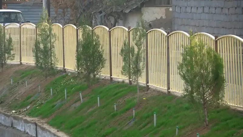 25 тысяч саженцев: осень в Келесе зазеленеет! {city2}