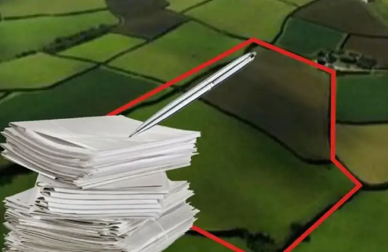 Нарушение прав на землю в области Абай: самовольное занятие государственного участка и последствия для нарушителя {city2}