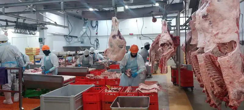 Четыре новых казахстанских предприятия добавлены в Реестр импортеров ОАЭ {city2}