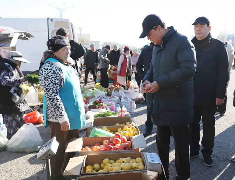 Ербол Карашукеев проверил цены и ассортимент на ярмарке в Таразе (9)