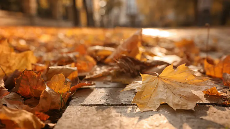 Теплая осень в Казахстане: как погодные условия влияют на настроение и активность граждан в последние дни ноября {city2}