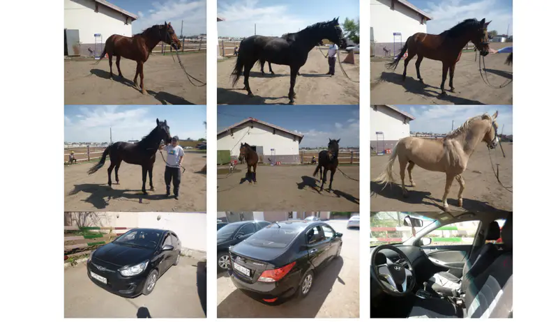 Фото из документа с сайта E-auction.e-qazyna.kz