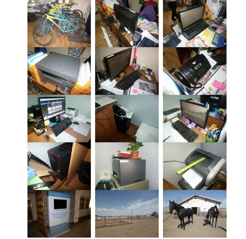 Фото из документа с сайта E-auction.e-qazyna.kz