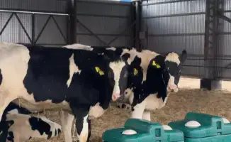 15 млрд тенге на поддержку сельского хозяйства в Актюбинске