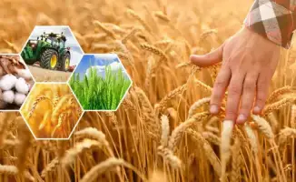 Рост сельхозпроизводства в Актюбинской области способствует устойчивому развитию аграрного сектора