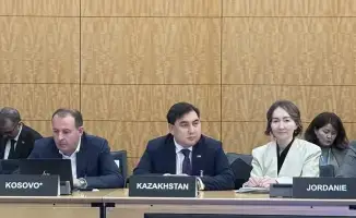 Казахстан презентует антикоррупционные реформы на международной платформе ОЭСР