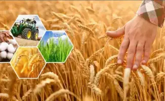 Актюбинская область: сельхозпродукция на 296,8 млрд тенге