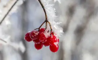 Синоптики Казгидромета предупреждают о сильных морозах: температура в Казахстане опустится до -20 градусов