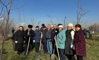 Посадка 100 деревьев в Наурызбайском районе Алматы: вклад в экологию и благоустройство города