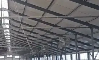 Павлодарская область делает шаг к международным стандартам молочного животноводства с поставкой племенных телок из Дании